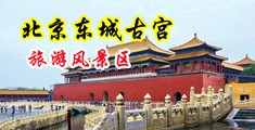 狂抽猛擦淫穴之成人片中国北京-东城古宫旅游风景区